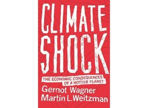 9780691171326 - Climate Shock - Gernot Wagner Martin L Weitzman Kartoniert (TB)