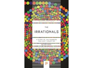 9780691247663 - The Irrationals - Julian Havil Kartoniert (TB)