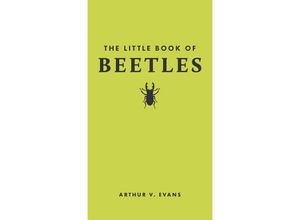 9780691251776 - The Little Book of Beetles - Arthur V Evans Gebunden