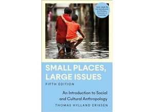 9780745348193 - Small Places Large Issues - Thomas Hylland Eriksen Kartoniert (TB)