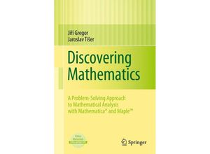 9780857290540 - Discovering Mathematics - Jirí Gregor Jaroslav Tiser Kartoniert (TB)