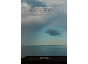 9780857423283 - Dispatches from Moments of Calm - Alexander Kluge Gerhard Richter Nathaniel McBride Gebunden