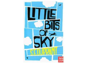 9780857633996 - Little Bits of Sky - Sue Durrant Kartoniert (TB)