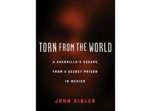 9780872867529 - City Lights Open Media   Torn from the World - John Gilber Kartoniert (TB)