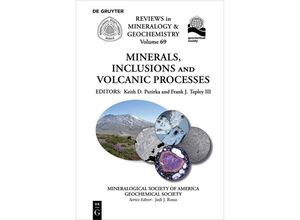 9780939950836 - Minerals Inclusions And Volcanic Processes Kartoniert (TB)