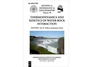 9780939950843 - Thermodynamics and Kinetics of Water-Rock Interaction Kartoniert (TB)