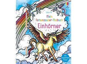 9781035700189 - Mein Farbenzauber-Malbuch Einhörner - Fiona Watt Kartoniert (TB)