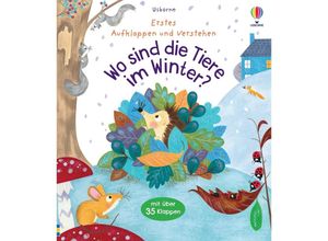 9781035700356 - Erstes Aufklappen und Verstehen Wo sind die Tiere im Winter? - Katie Daynes Gebunden