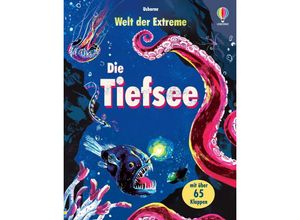 9781035700684 - Welt der Extreme Die Tiefsee - Laura Cowan Gebunden