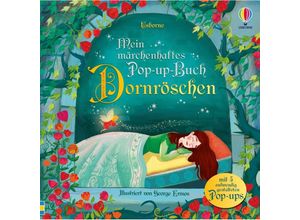 9781035700721 - Mein märchenhaftes Pop-up-Buch Dornröschen - Susanna Davidson Gebunden