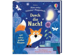 9781035700738 - Meine ersten Entdecker-Klappenbücher   Mein erstes Entdecker-Klappenbuch Durch die Nacht - Anna Milbourne Gebunden