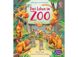 9781035700936 - Aufklappen und Entdecken Das Leben im Zoo - Minna Lacey Gebunden