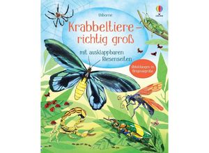 9781035701094 - Krabbeltiere - richtig groß Gebunden