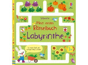 9781035701308 - Mein erstes Rätselbuch Labyrinthe Kartoniert (TB)