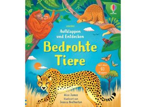 9781035701353 - Aufklappen und Entdecken Bedrohte Tiere - Alice James Gebunden