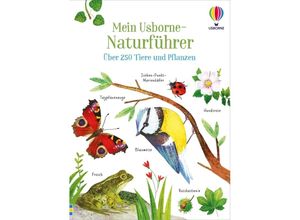 9781035701469 - Mein Usborne-Naturführer - Sam Smith Kirsteen Robson Kartoniert (TB)