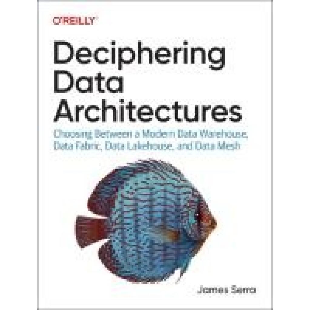 9781098150761 - Serra James Deciphering Data Architectures