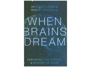 9781324002833 - When Brains Dream - Antonio Zadra Robert Stickgold Gebunden