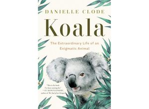 9781324036838 - Koala - Danielle Clode Gebunden