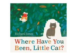 9781398502512 - Where Have You Been Little Cat? - Richard Jones Kartoniert (TB)