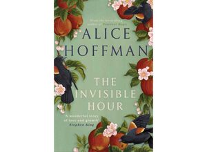 9781398526181 - The Invisible Hour - Alice Hoffman Gebunden