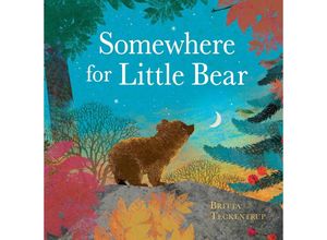 9781408359716 - Somewhere for Little Bear - Britta Teckentrup Gebunden