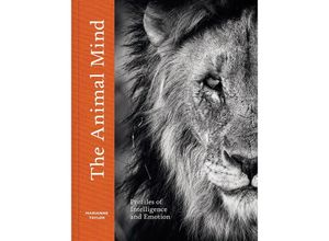 9781419768491 - The Animal Mind - Marianne Taylor Gebunden