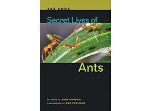 9781421404288 - Secret Lives of Ants - Jae Choe Gebunden