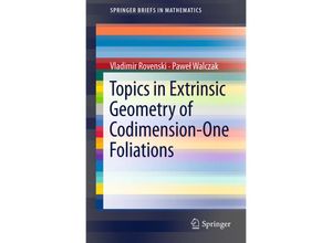 9781441999078 - Topics in Extrinsic Geometry of Codimension-One Foliations - Vladimir Rovenski Pawel Walczak Kartoniert (TB)