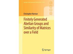 9781447127291 - Springer Undergraduate Mathematics Series   Finitely Generated Abelian Groups and Similarity of Matrices over a Field - Christopher Norman Kartoniert (TB)