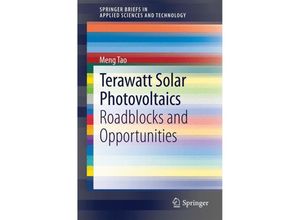 9781447156420 - SpringerBriefs in Applied Sciences and Technology   Terawatt Solar Photovoltaics - Meng Tao Kartoniert (TB)