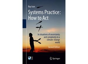 9781447173502 - Systems Practice How to Act - Ray Ison Kartoniert (TB)