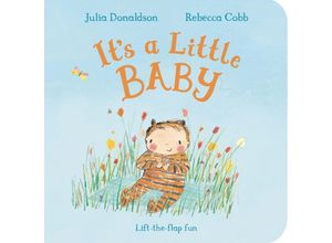 9781447251811 - Its a Little Baby - Julia Donaldson Pappband