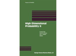 9781461271116 - High Dimensional Probability II Kartoniert (TB)