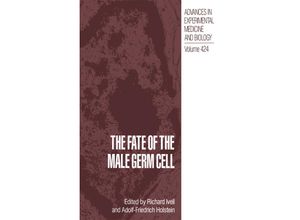 9781461377115 - The Fate of the Male Germ Cell Kartoniert (TB)