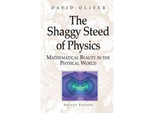 9781475780642 - The Shaggy Steed of Physics - David Oliver Kartoniert (TB)