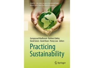 9781489988980 - Practicing Sustainability Kartoniert (TB)