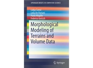 9781493921485 - SpringerBriefs in Computer Science   Morphological Modeling of Terrains and Volume Data - Lidija Comic Leila De Floriani Paola Magillo Federico Iuricich Kartoniert (TB)