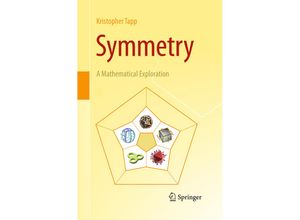 9781493942473 - Symmetry - Kristopher Tapp Kartoniert (TB)