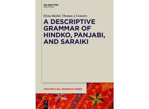 9781501526602 - A Descriptive Grammar of Hindko Panjabi and Saraiki - Elena Bashir Thomas J Conners Kartoniert (TB)