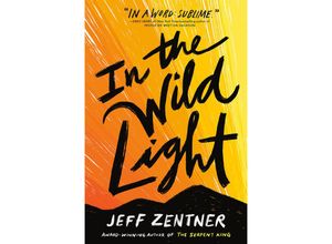 9781524720278 - In the Wild Light - Jeff Zentner Kartoniert (TB)