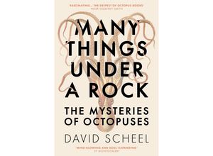 9781529392616 - Many Things Under a Rock - David Scheel Kartoniert (TB)