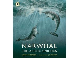 9781529513912 - Narwhal The Arctic Unicorn - Justin Anderson Kartoniert (TB)