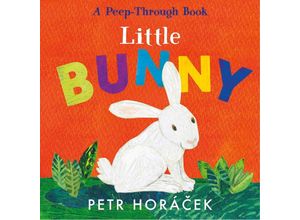 9781529517354 - Little Bunny - Petr Horácek Pappband