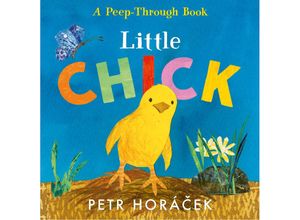 9781529517361 - Little Chick - Petr Horácek Pappband