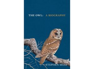 9781529908268 - The Owl - Stephen Moss Gebunden