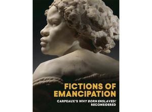 9781588397447 - Fictions of Emancipation - Elyse Nelson Wendy S Walters Kartoniert (TB)