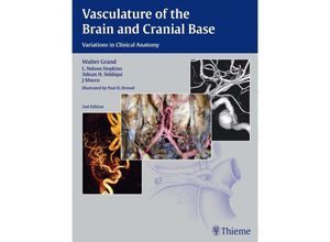 9781604068856 - Vasculature of the Brain and Cranial Base - Walter Grand L Nelson Hopkins Adnan H Siddiqui J Mocco Gebunden