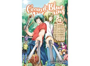 9781646512072 - Grand Blue Dreaming 15 - Kimitake Yoshioka Kartoniert (TB)