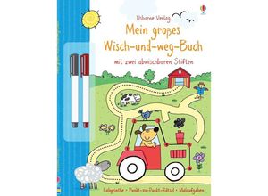 9781782321705 - Mein großes Wisch-und-weg-Buch - Sam Taplin Kartoniert (TB)